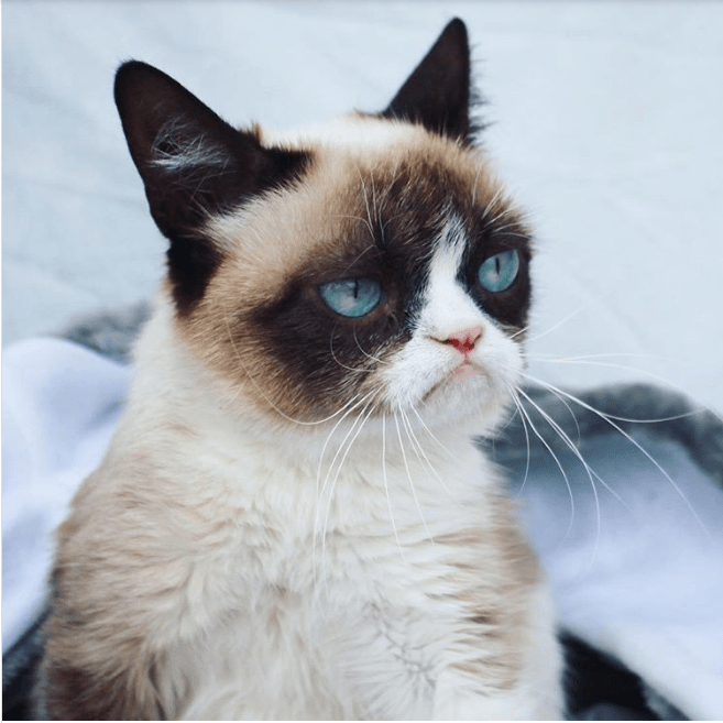 Screen Shot 2018-08-14 at 09.32.18