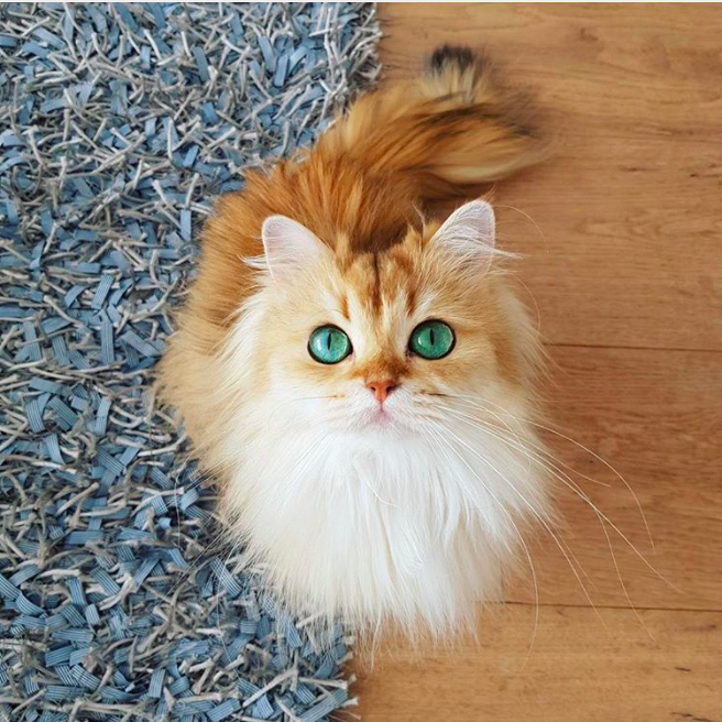 Screen Shot 2018-08-14 at 09.32.36.png