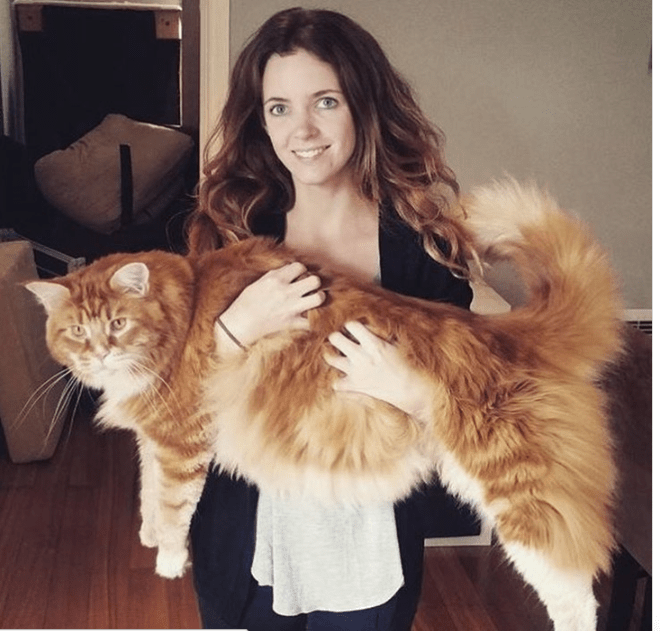 Screen Shot 2018-08-14 at 09.32.51