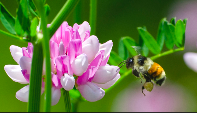 Screen Shot 2019-05-05 at 14.37.54.png